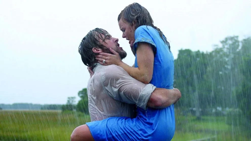 The Notebook Ending Explained