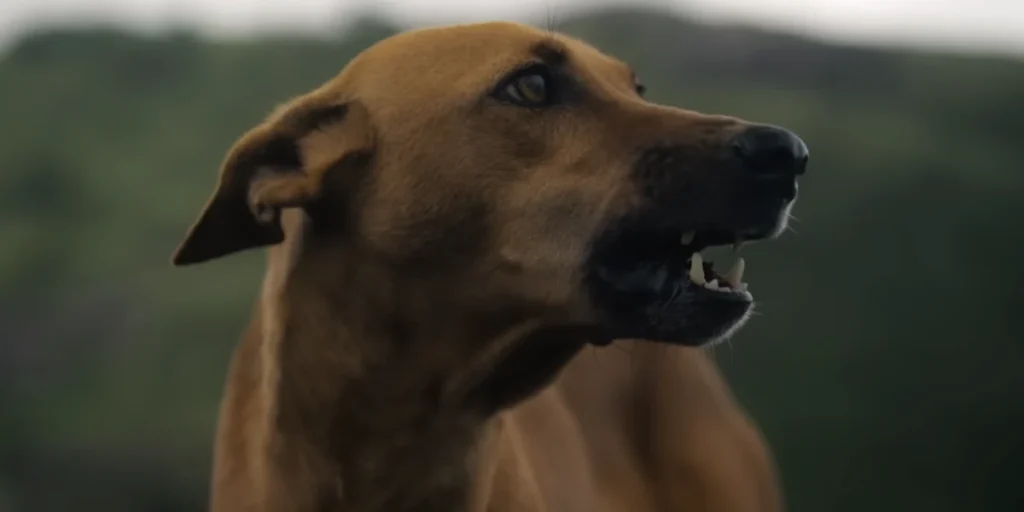 Eko Ending Explained